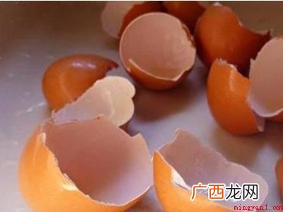 如何驱赶壁虎到室外的具体操作步骤 如何驱赶壁虎到室外