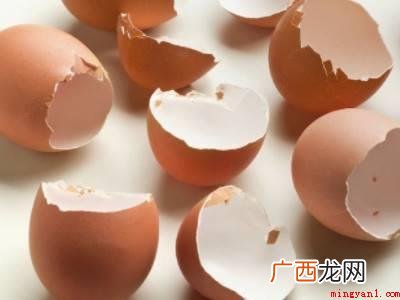 如何驱赶壁虎到室外的具体操作步骤 如何驱赶壁虎到室外
