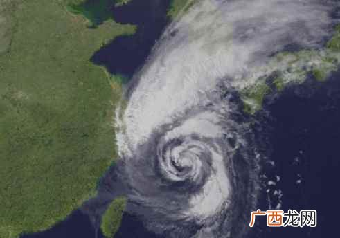 台风属于热带气旋的一种 台风预警有几个级别