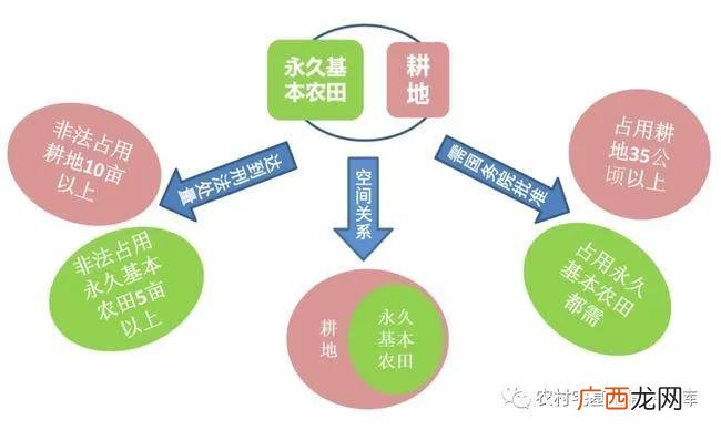 一般农田和基本农田的区别,和用途? 一般农田和基本农田的区别