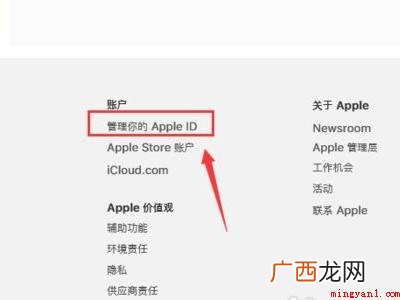 MacBook Pro 忘记apple