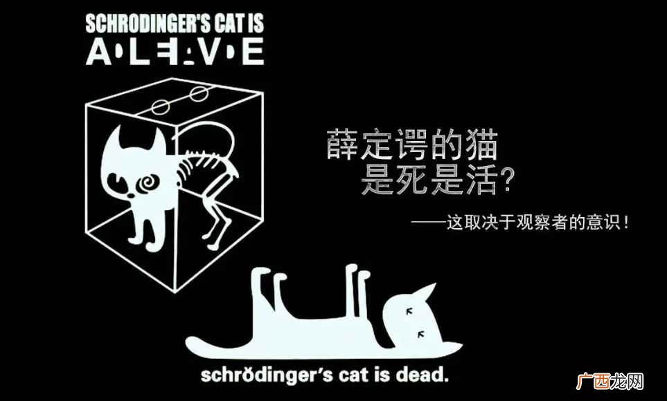 薛定谔的猫比喻什么 薛定谔的猫想表达什么