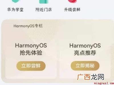 华为Mate 40系统 华为mate40如何升级鸿蒙系统