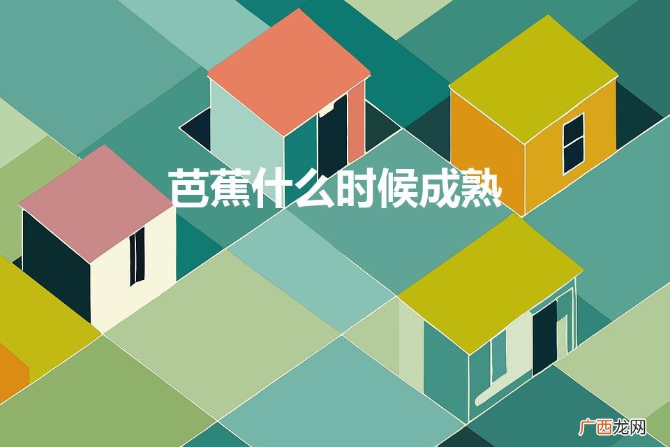 芭蕉什么时候成熟（海南芭蕉什么时候成熟)