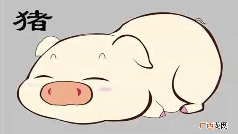 属猪的属相婚配宜忌宜配 男猪女猴婚姻是否相配