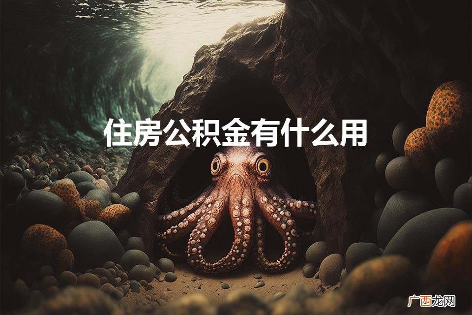 住房公积金有什么用 通俗易懂点 住房公积金有什么用