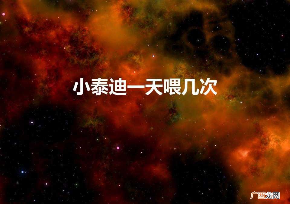 小泰迪一天喂几次（2个月泰迪每天吃多少狗粮)