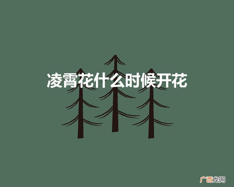 凌霄花什么时候开花（凌霄花为什么又叫死人花)