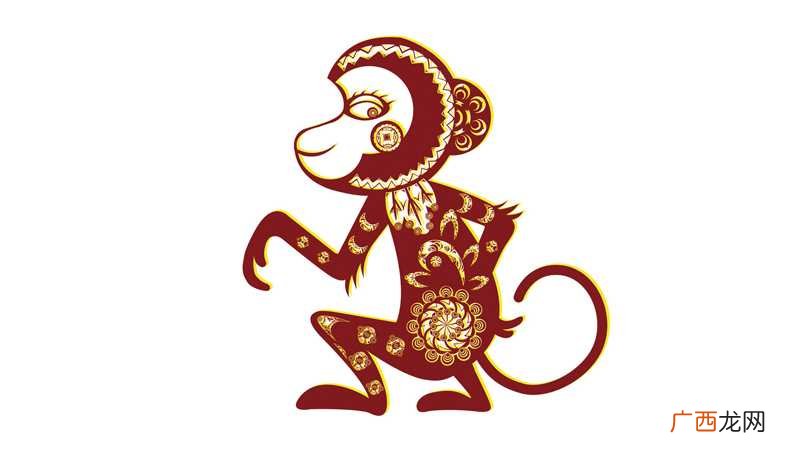 属牛和属猴合不合