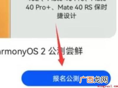 华为p20系统版本:EMUI 8 华为p20升级鸿蒙系统怎么申请