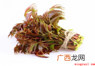 香椿中为何有亚硝酸盐 怎么买到新鲜的香椿 香椿里为什么会有亚硝酸盐