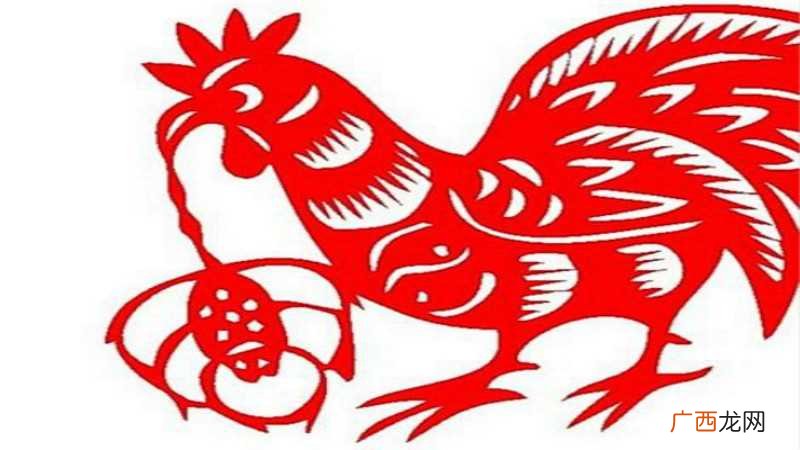 属羊跟属鸡婚姻配吗