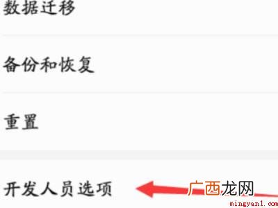 华为p20开发者选项在哪里的具体操作步骤 华为p20开发者选项在哪里