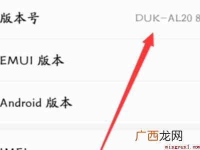华为p20开发者选项在哪里的具体操作步骤 华为p20开发者选项在哪里