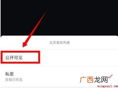 演示机型:Iphone 12 抖音怎么公开喜欢的作品