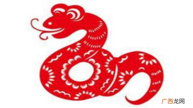 属蛇人的性格:蛇是十二属相中最顽强的属相 属蛇跟属马的合不合
