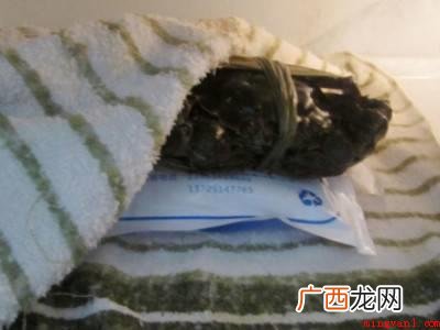 海蟹一次吃不完怎么存放