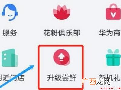 华为nova8怎么升级鸿蒙系统的具体操作步骤 华为nova8怎么升级鸿蒙系统