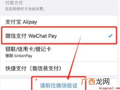 苹果手机怎么用微信充值抖币