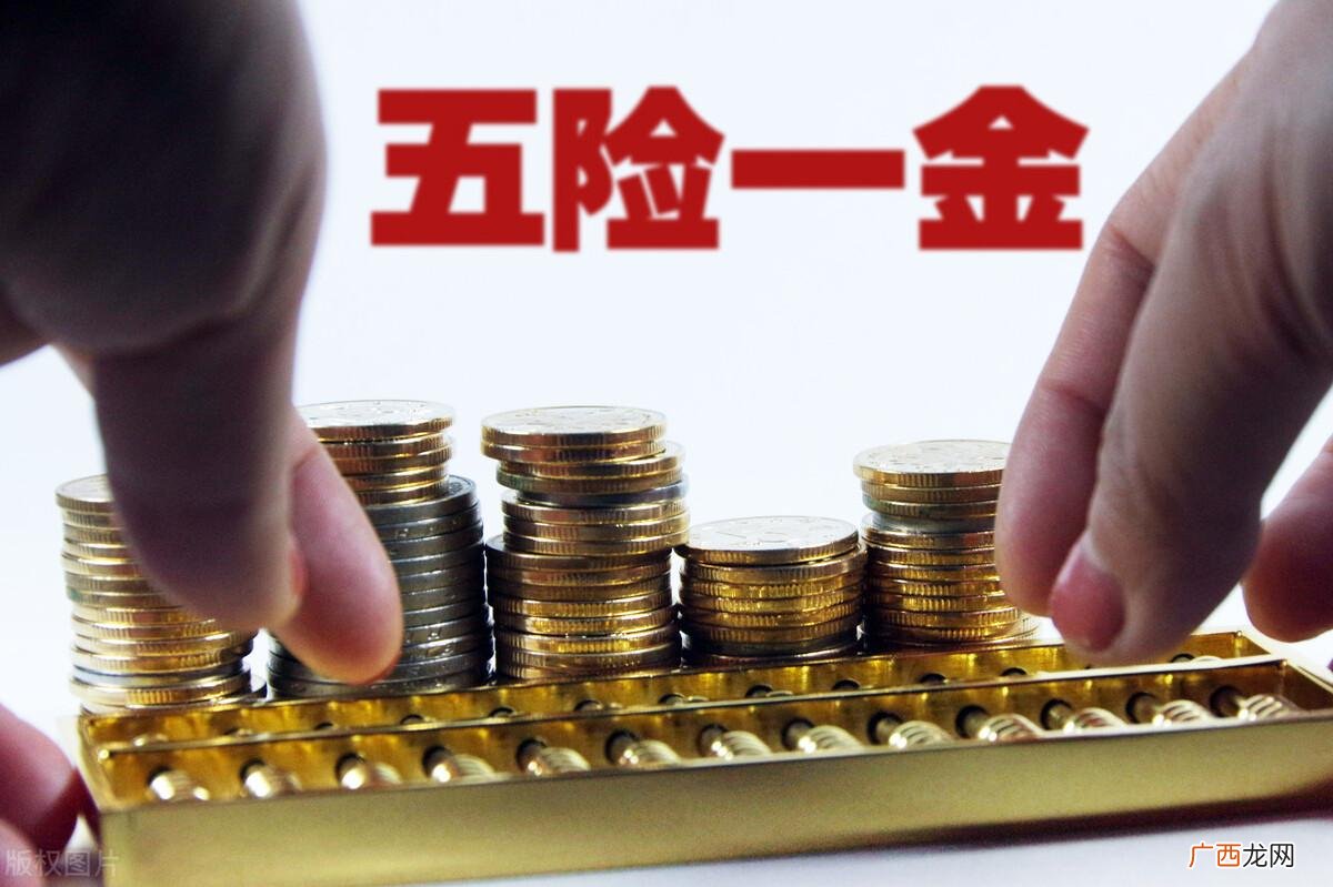 新增的几项都很有用 八险二金指什么意思