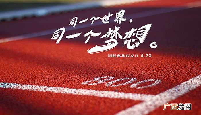 2008年北京奥运会概况 北京奥运会是谁点燃的火炬