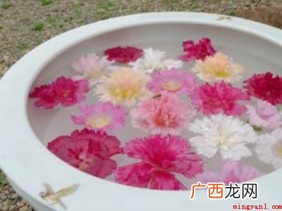 蜀葵怎么做才好吃的具体操作步骤 蜀葵怎么做才好吃