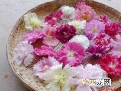 蜀葵怎么做才好吃的具体操作步骤 蜀葵怎么做才好吃