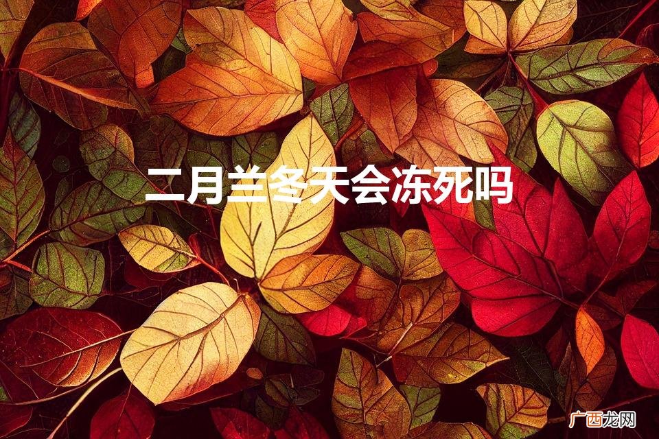 二月兰冬天会冻死吗（二月兰冬天可以播种吗)