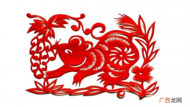 辛亥年是哪一年属什么