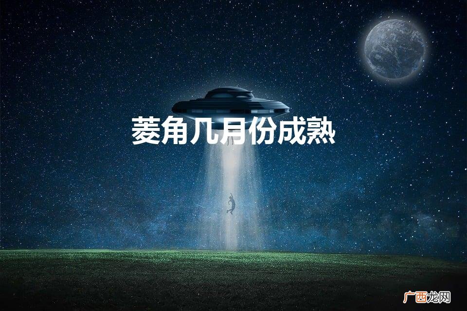 菱角是什么季节的 菱角几月份成熟