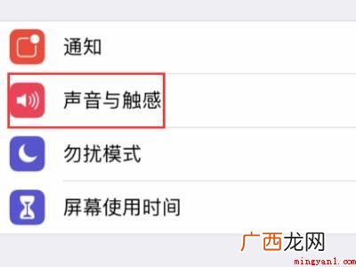 苹果12来电声音太小怎么回事的具体操作步骤 苹果12来电声音太小怎么回事