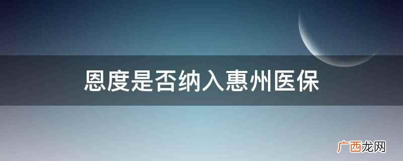 恩度是否纳入惠州医保