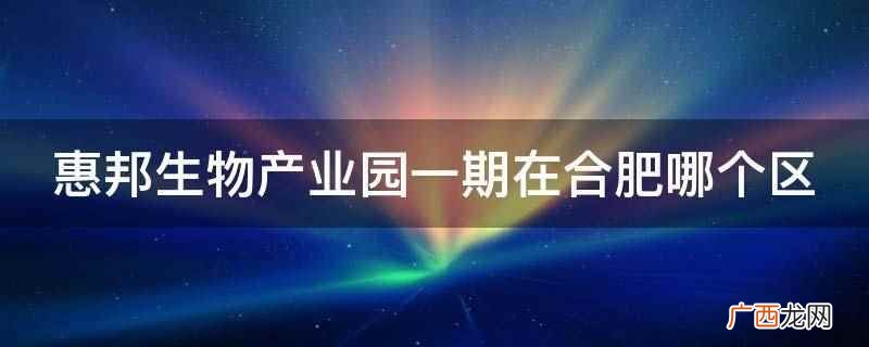 安徽惠邦生物工程有限公司 惠邦生物产业园一期在合肥哪个区