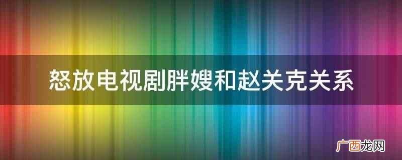 怒放电视剧胖嫂和赵关克关系