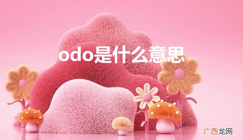 汽车仪表盘里面的odo代表什么意思 odo是什么意思