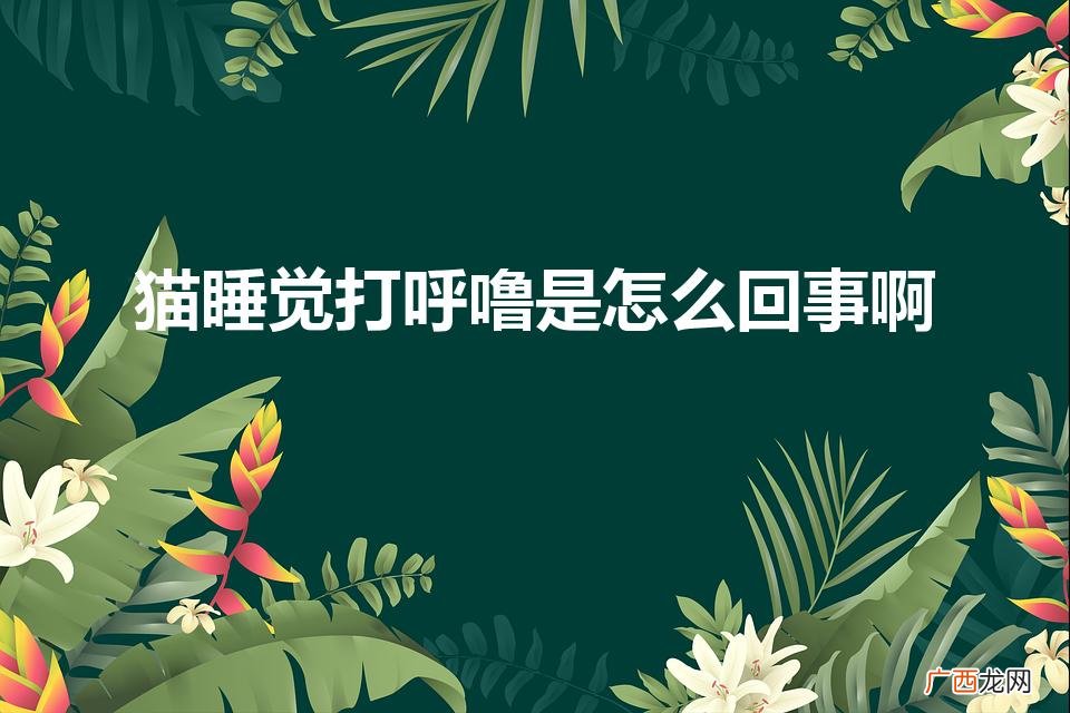 猫咪为什么睡觉打呼噜 猫睡觉打呼噜是怎么回事啊