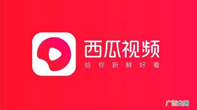 新手如何做西瓜视频自媒体 西瓜视频怎么赚钱