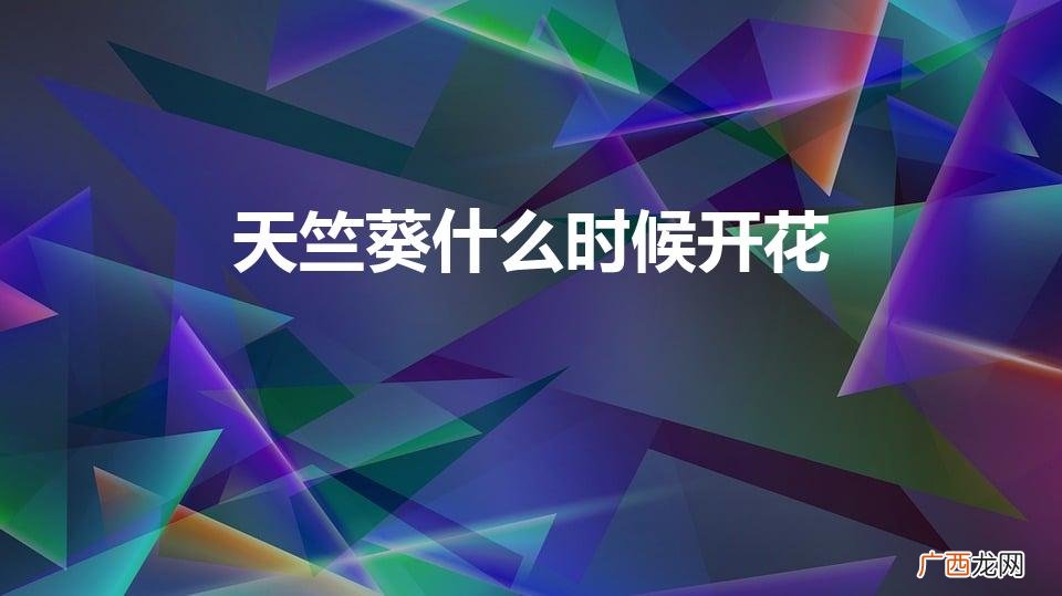 天竺葵什么时候开花（大花天竺葵什么时候开花)