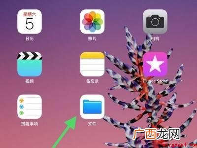 ipad网盘下载的文件在哪里的具体操作步骤 ipad网盘下载的文件在哪里