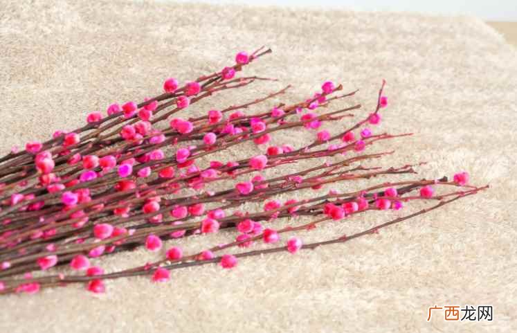 银柳是真花还是假花？