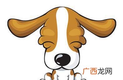 今年姻缘及财运详解 1994属狗男命运和婚姻如何