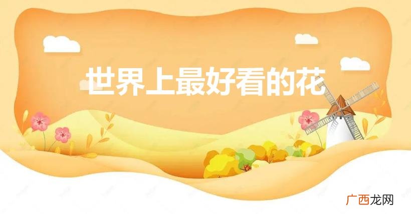 世界上最美的花是什么花 世界上最好看的花