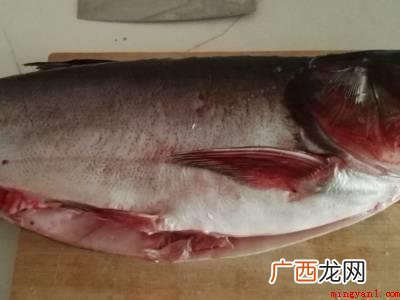 鲢鳙怎么做才好吃的具体操作步骤 鲢鳙怎么做才好吃