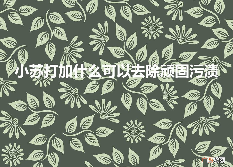 小苏打加什么可以去除顽固污渍（去油污最强的清洁剂配方)