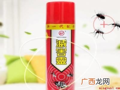 床上有谷盗虫怎么办的具体操作步骤 床上有谷盗虫怎么办
