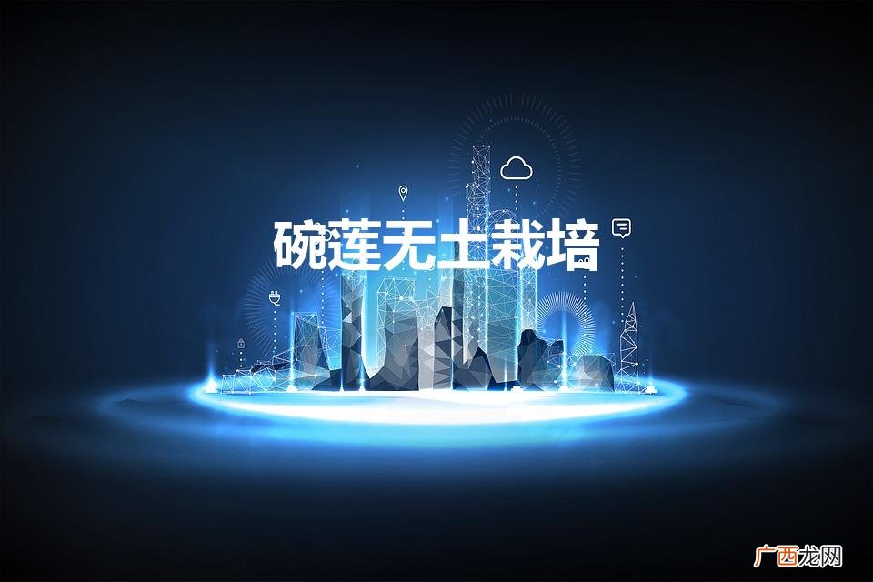 碗莲无土栽培（碗莲发芽后芽一直泡水里吗)
