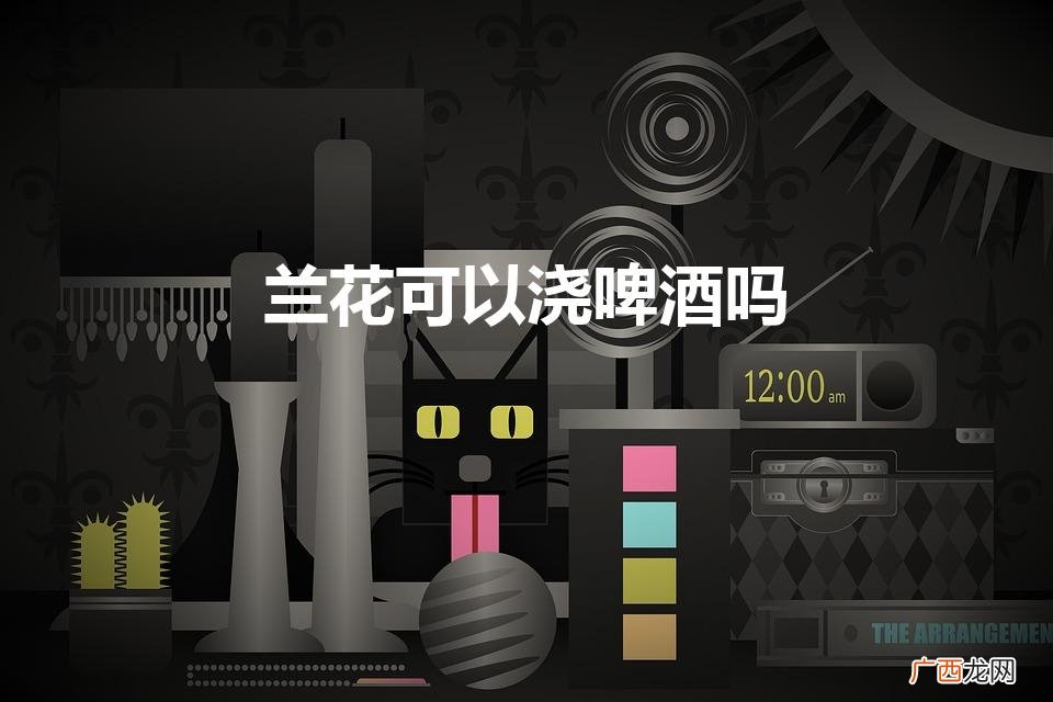 兰花能浇啤酒吗 兰花可以浇啤酒吗