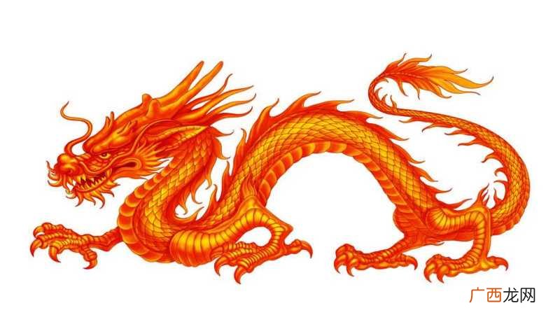 2022年属龙人的全年运势