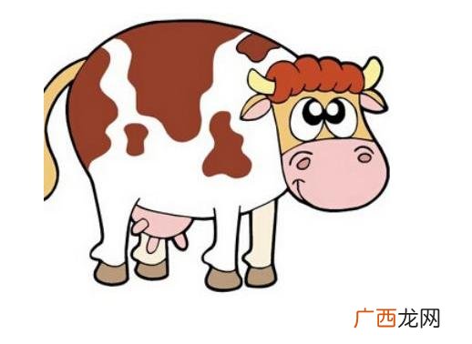 男女同生肖婚配举例讲解 同生肖的人结婚好吗