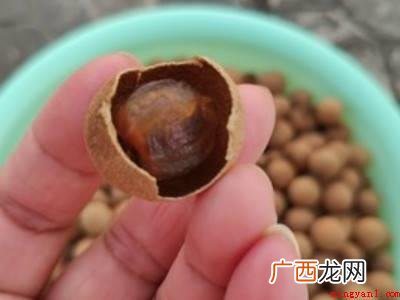 龙眼干怎么晒才好吃的具体操作步骤 龙眼干怎么晒才好吃